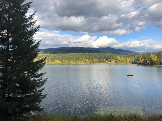 Jasper Way Inn Resort & Campground 클리어워터비치 외부 사진